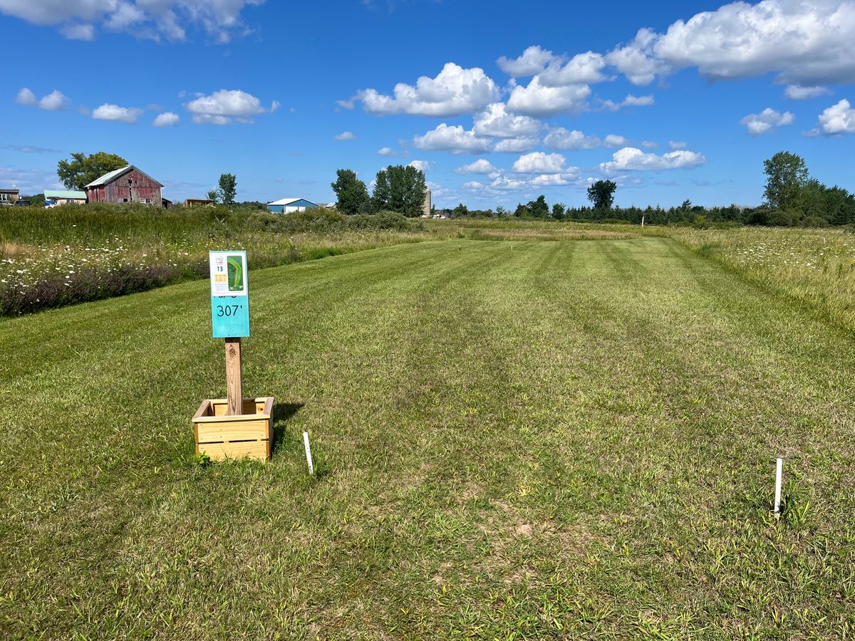 Hole 13 tee