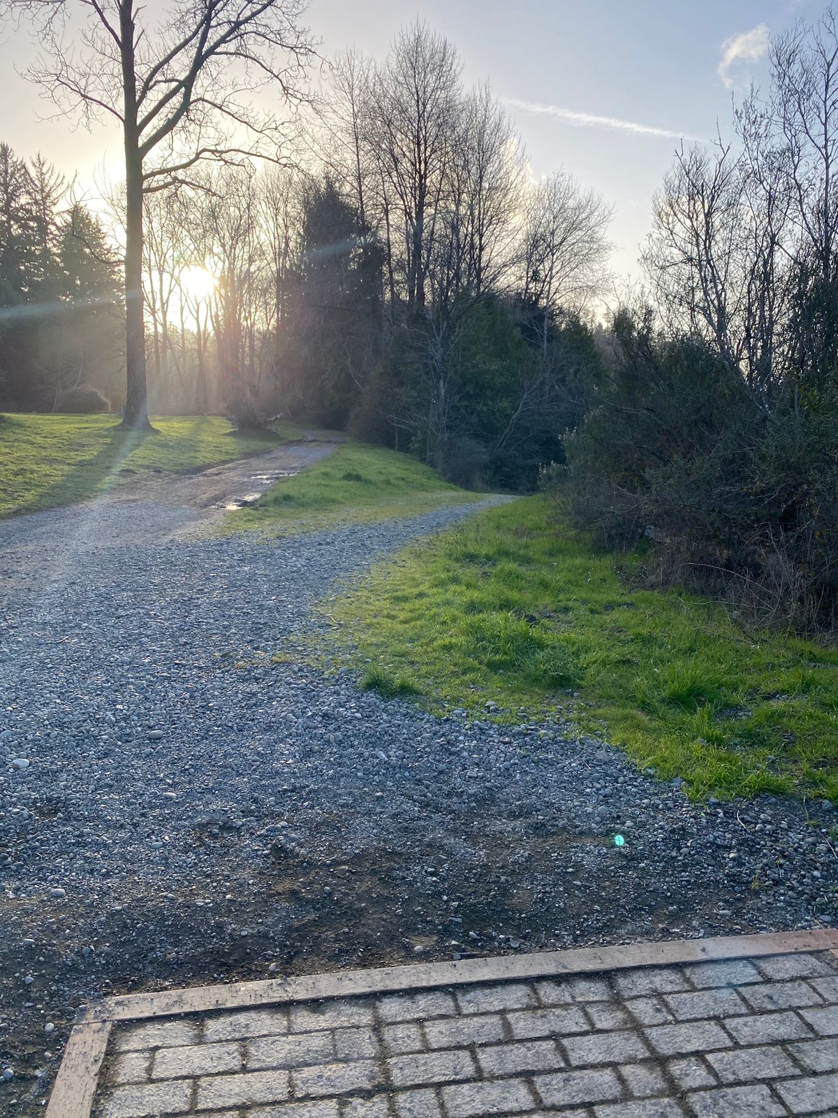 Hole 1 tee pad