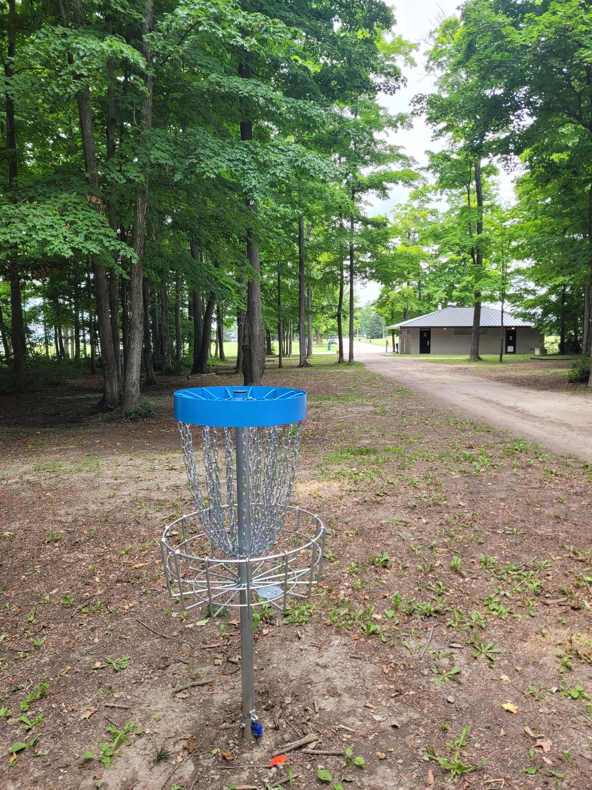 Basket + Hole #5