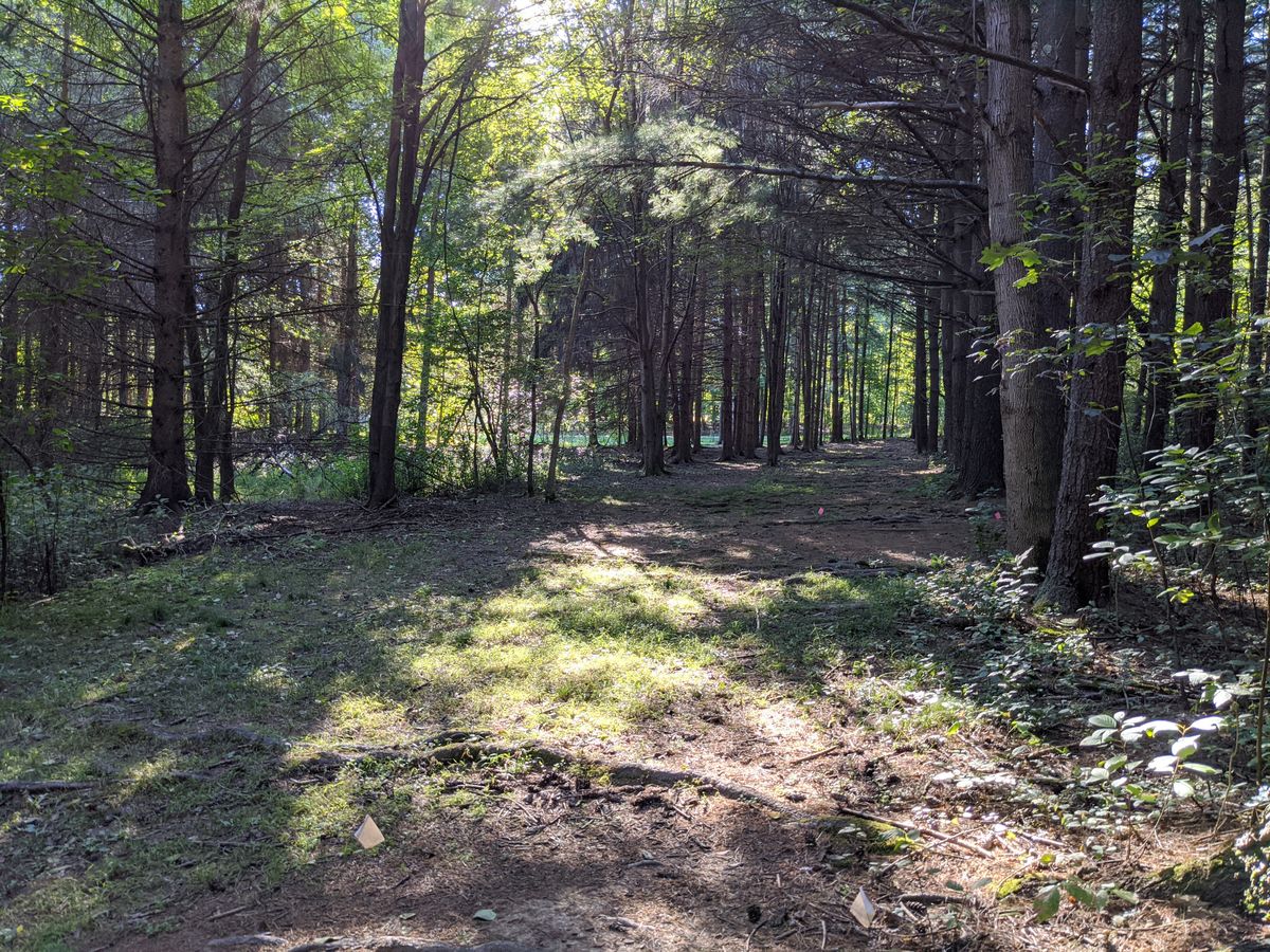 Hole 8 Fairway