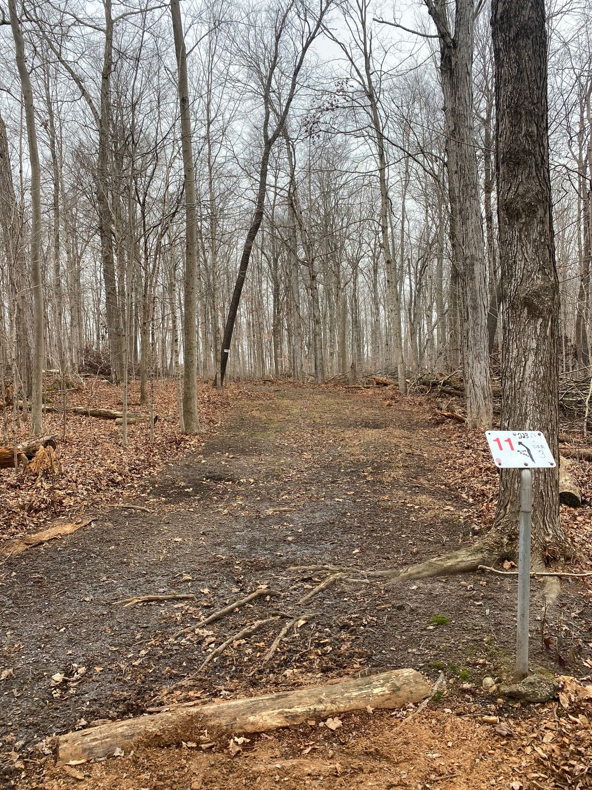 Hole 11 Red
