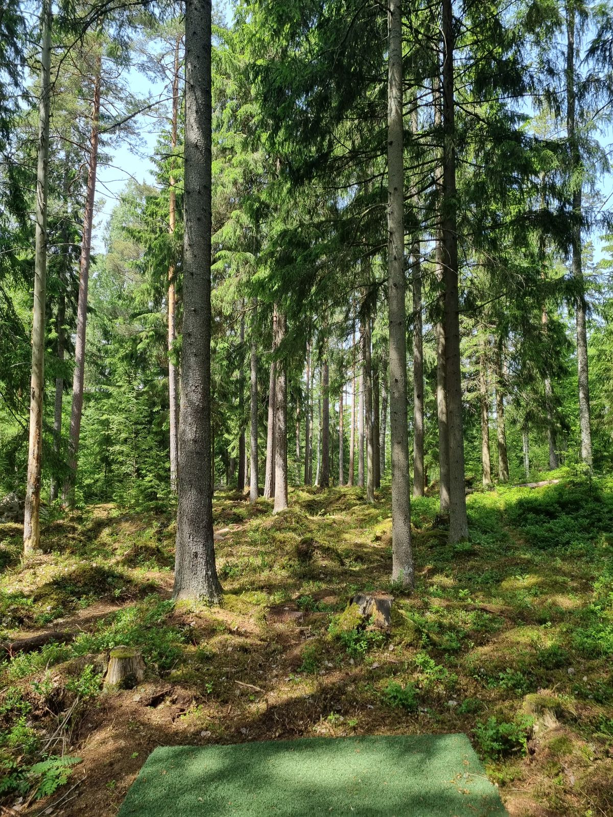 Hål 17 från tee