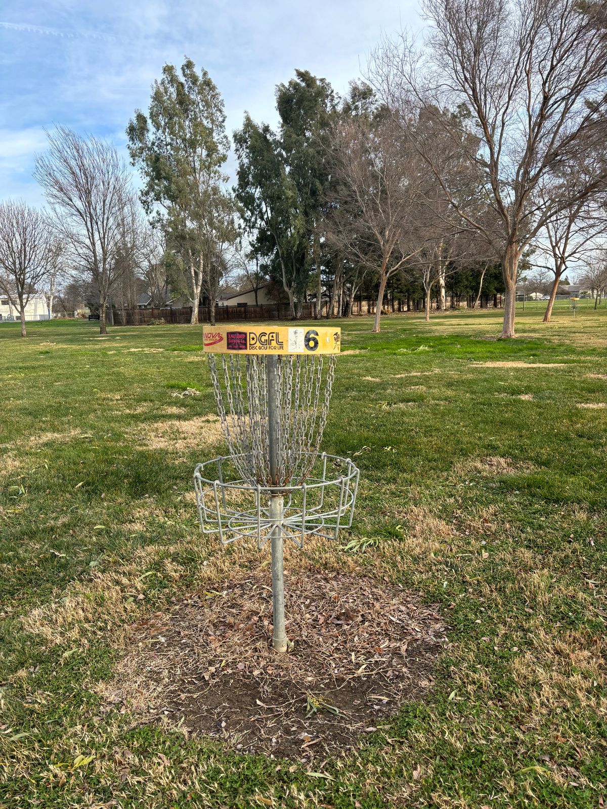 6 target.