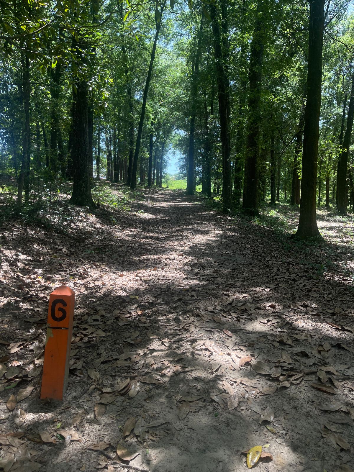Hole 6