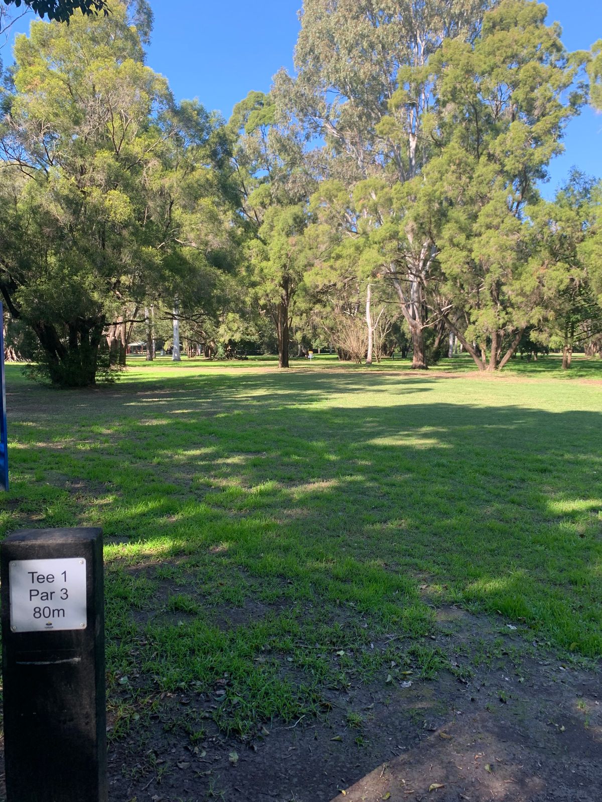 Tee 1