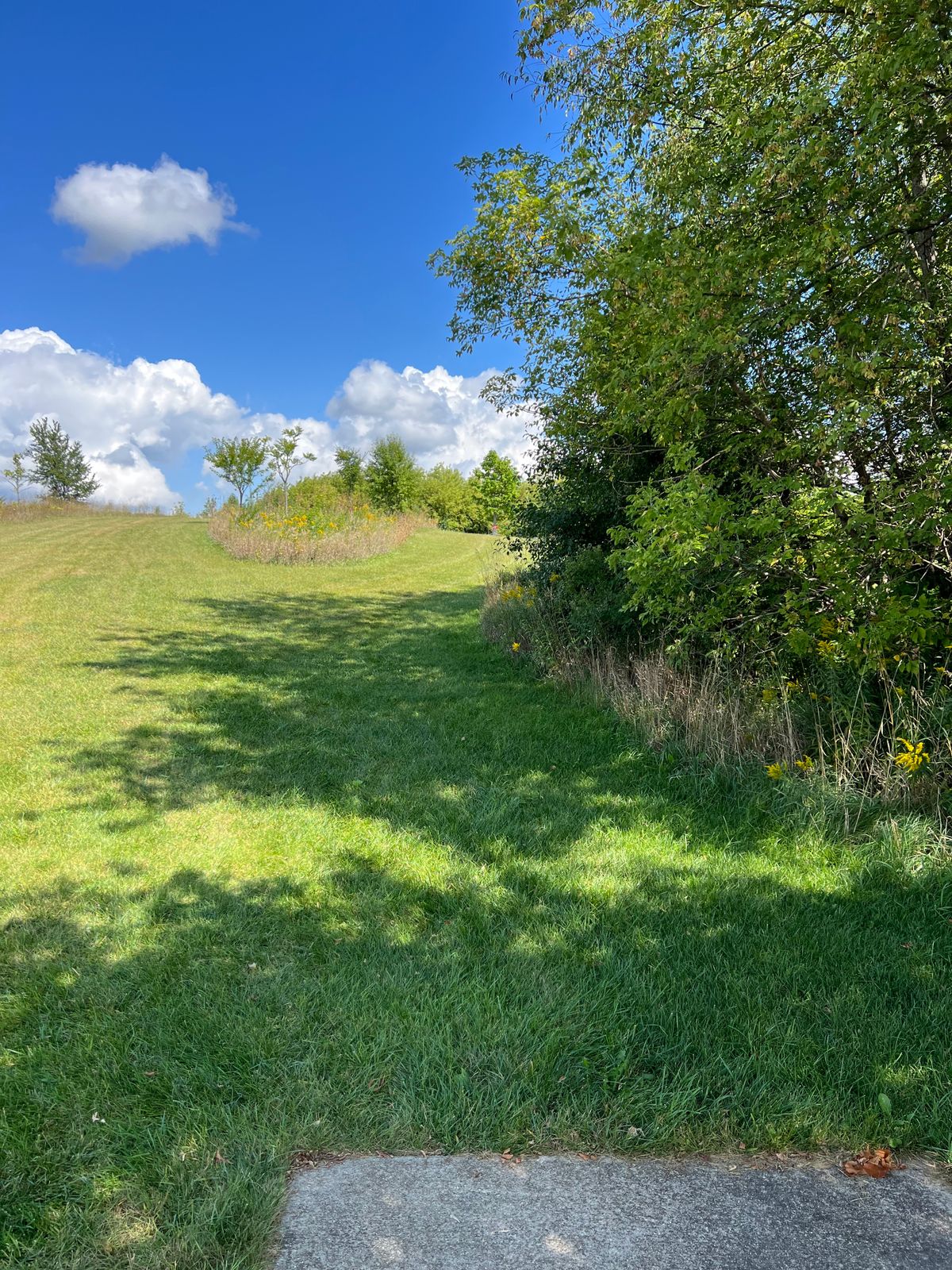 Hole 3