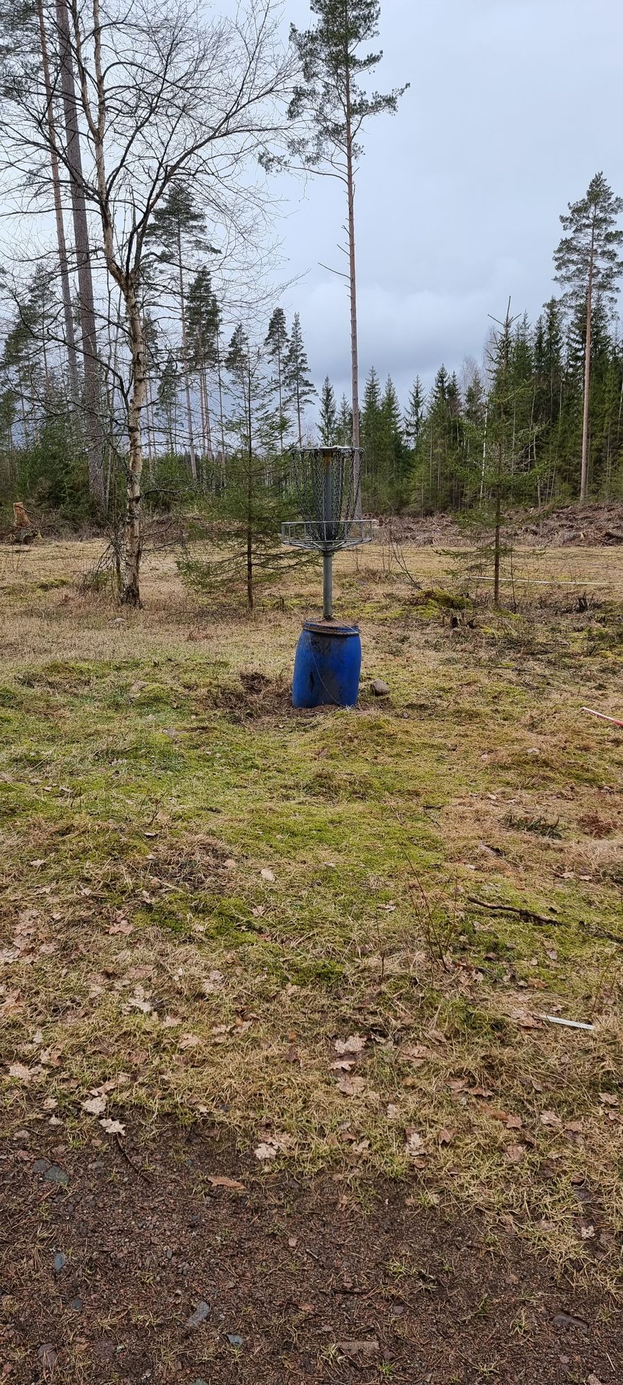Hole 6, new elevation.