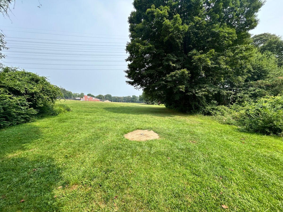 Hole 4