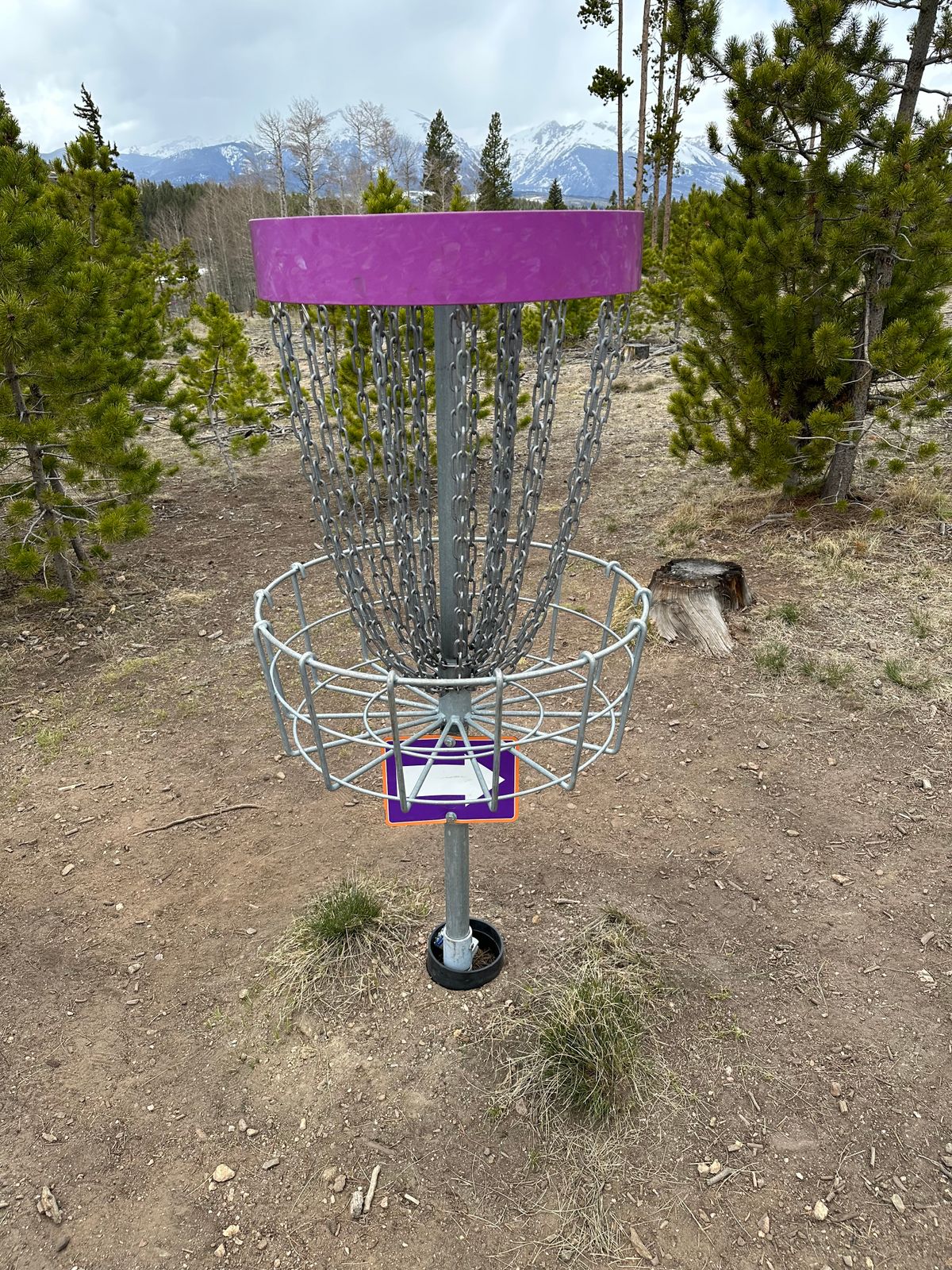 Hole 7 Basket
