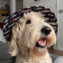 User avatar image
