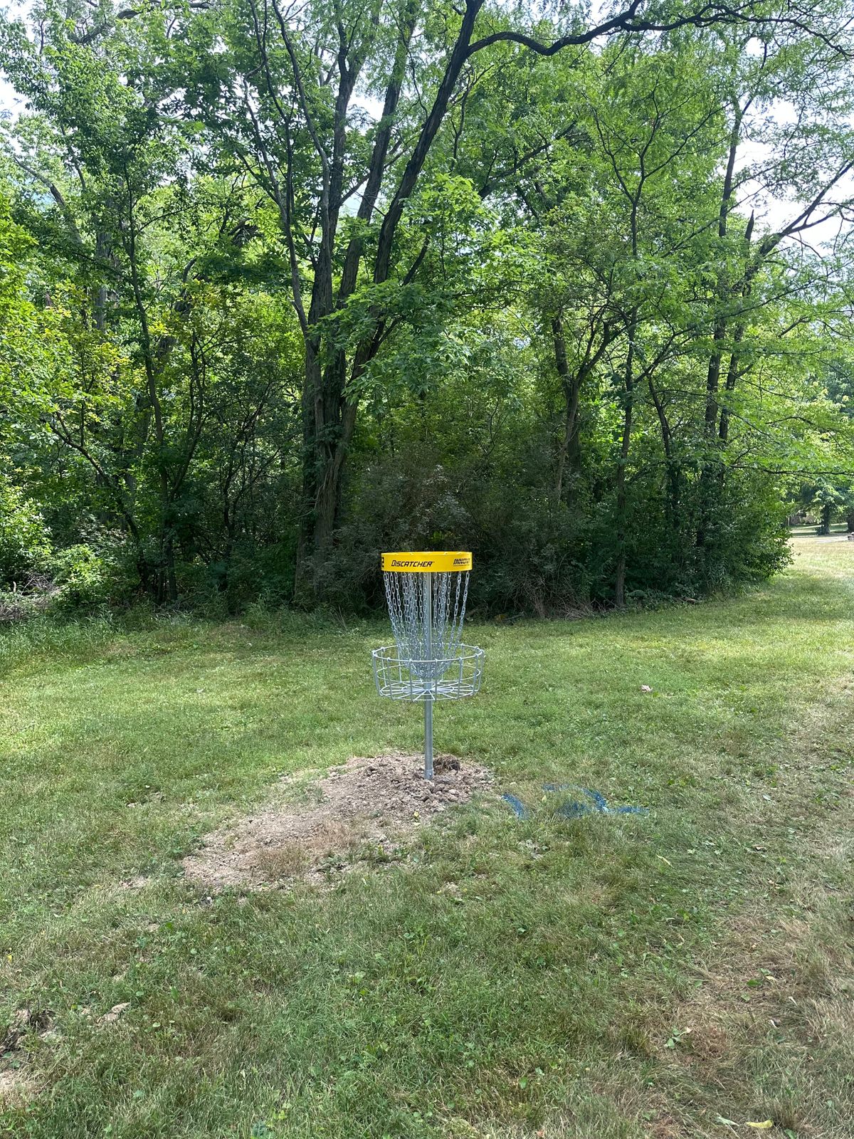 Hole 12 basket