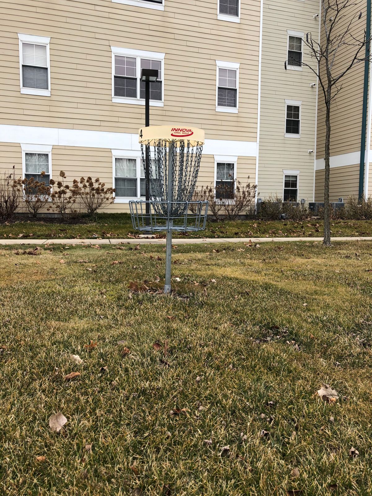 This basket is way too close to the dorm windows and walkway