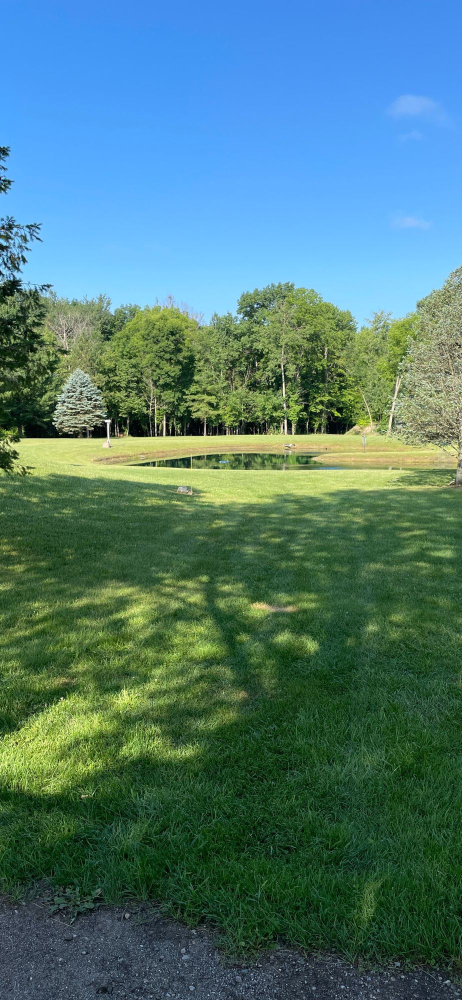 Hole 1 OG Longs