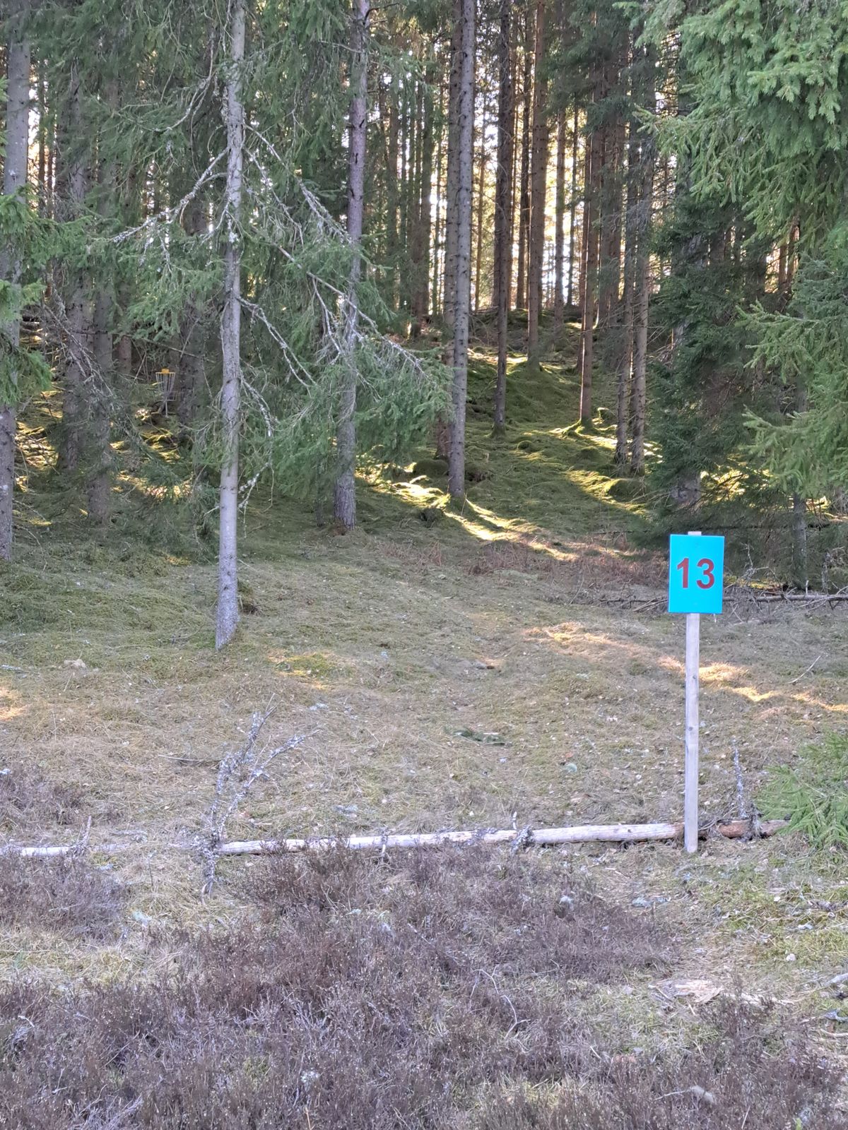 Hål 13