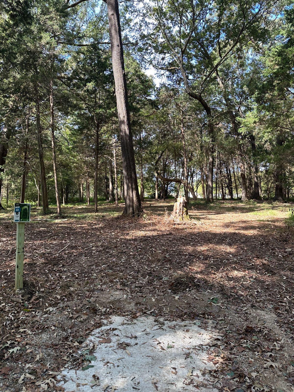 Hole 4 short tee.