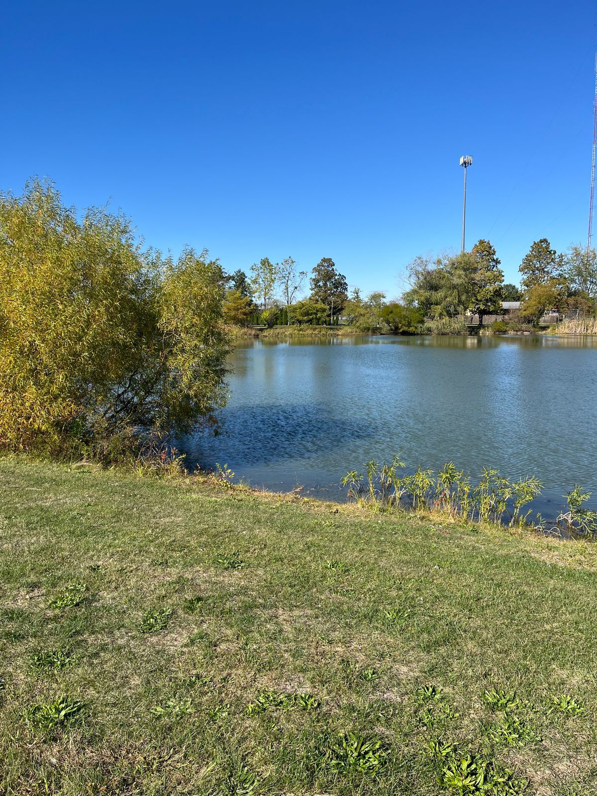 Hole 4 pro tee