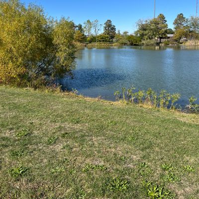 Hole 4 pro tee