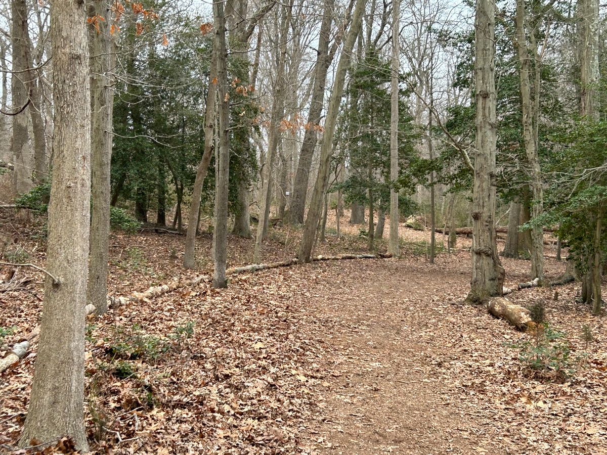 Fairway of the short left-to-right  hole 11
