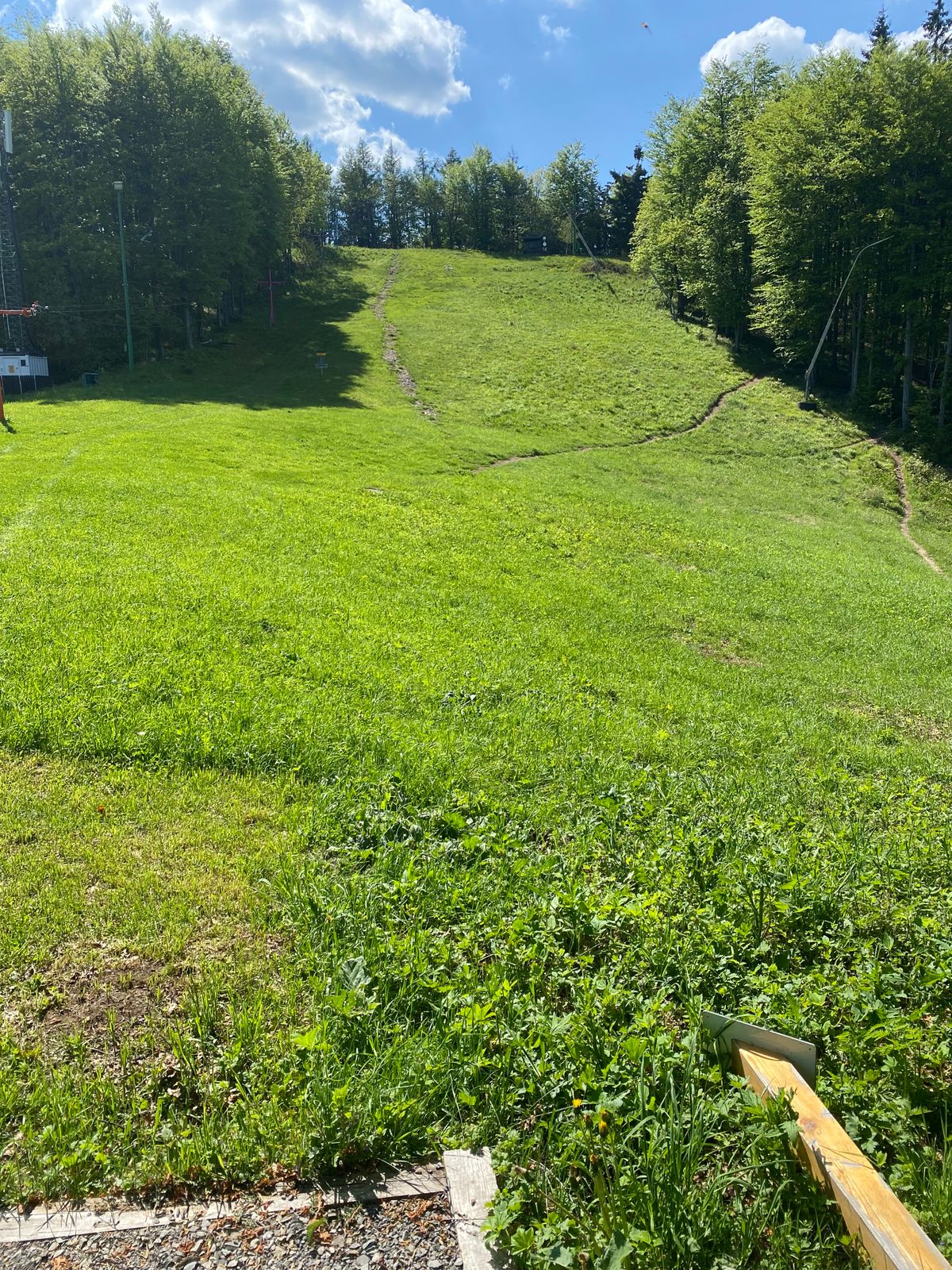 Tee 1