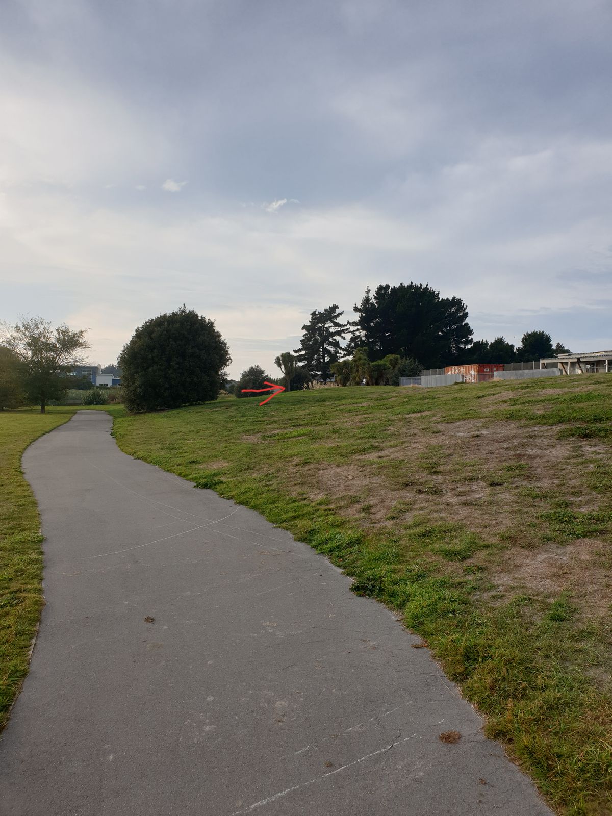 New hole 9