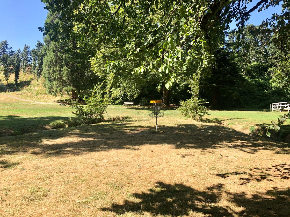 Hole 7 basket