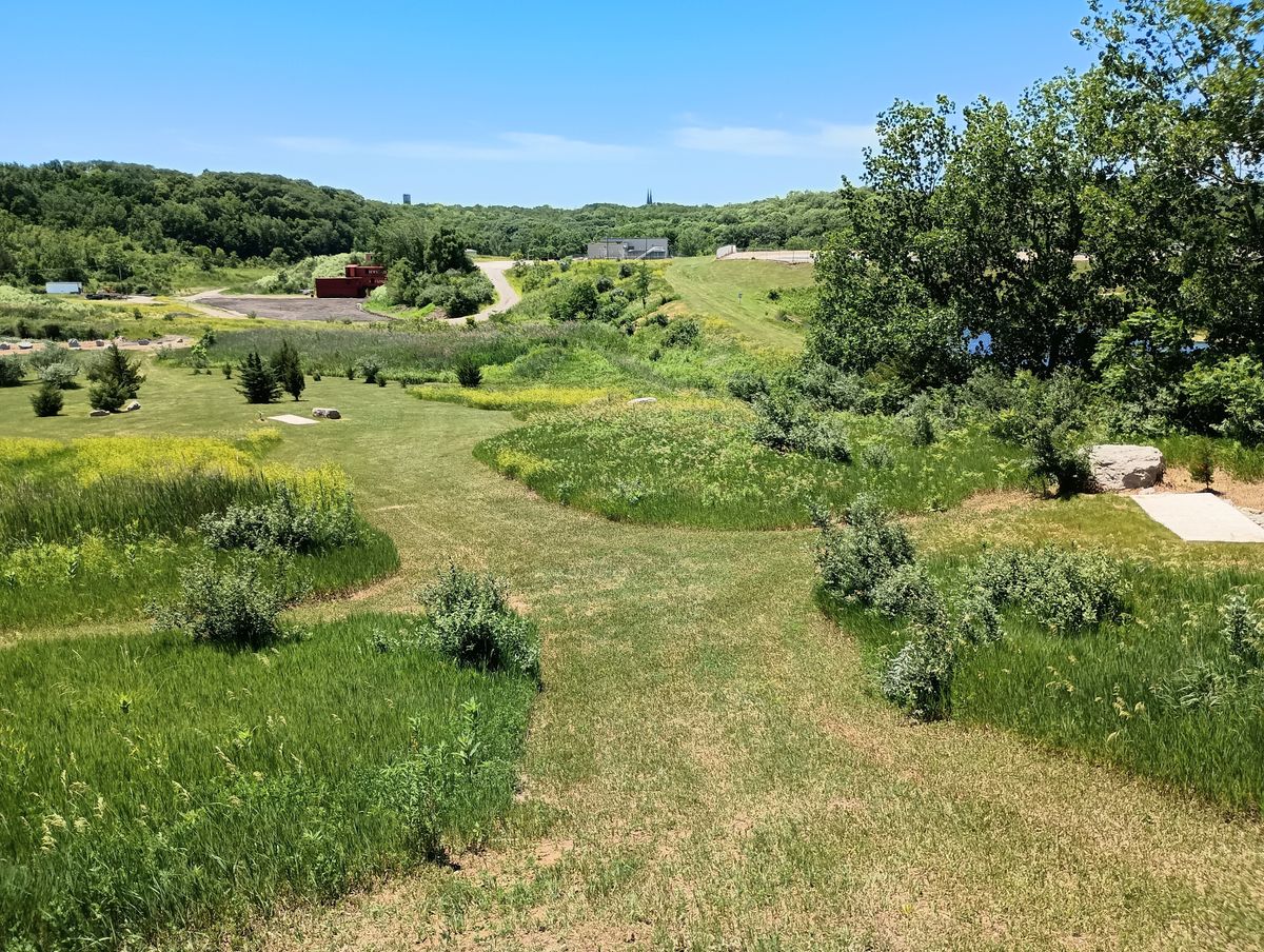View from course