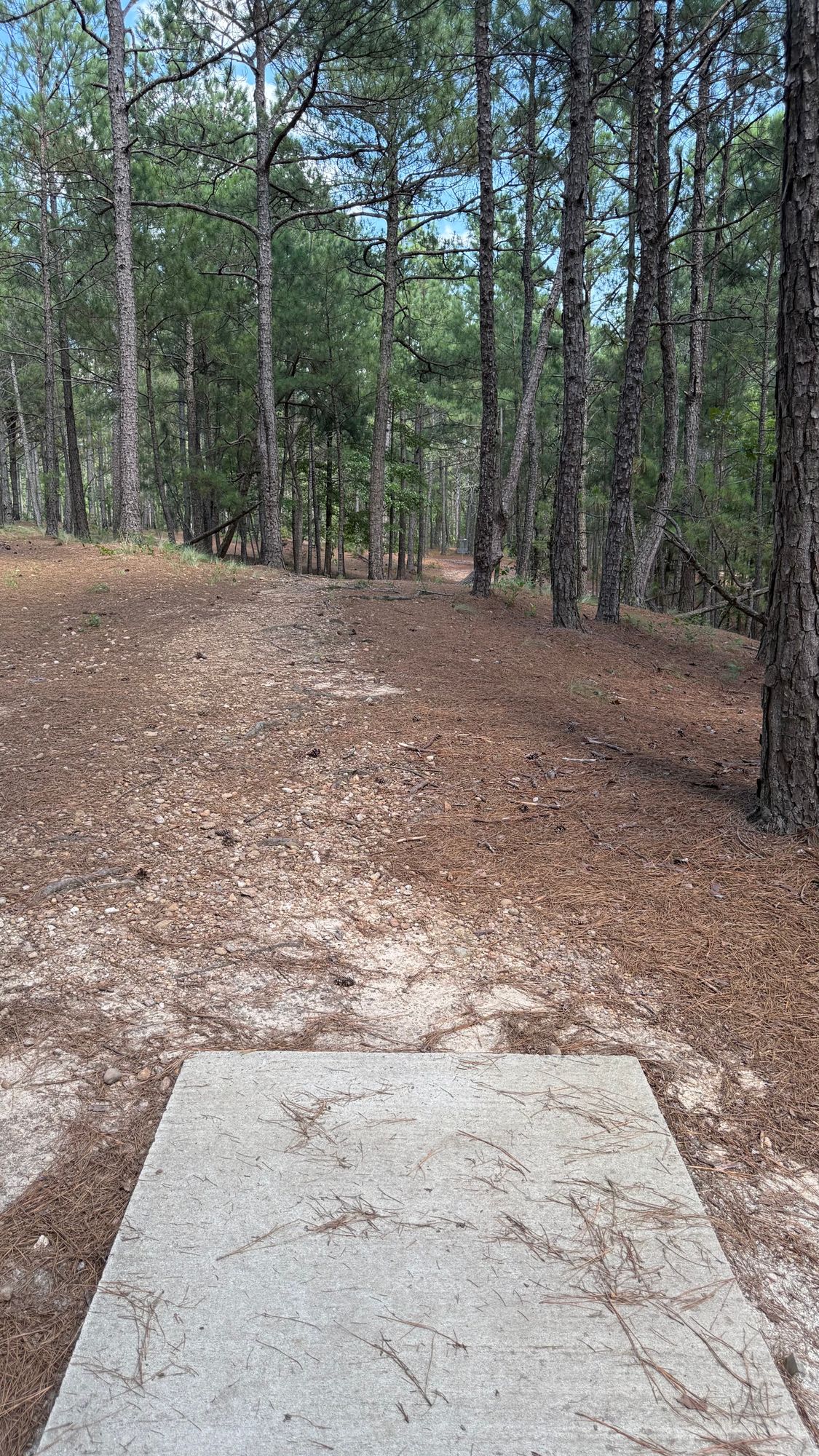 Hole 8 Tee Pad