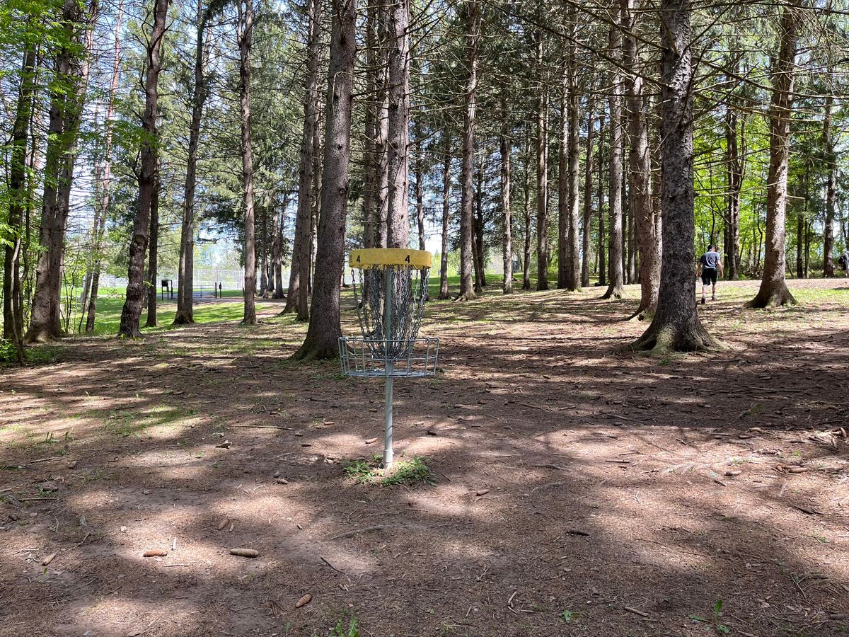 Hole 4 Basket to Tee