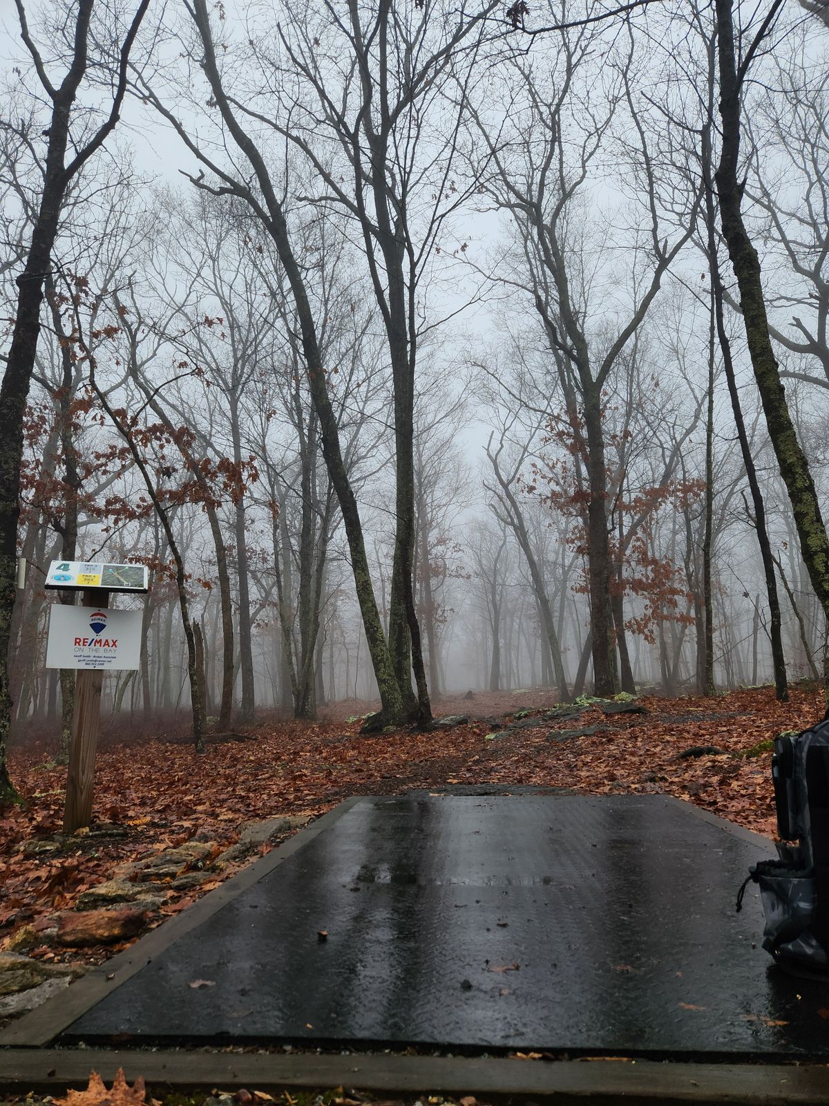 This may seem gloomy to you but what a great December morning in CT.