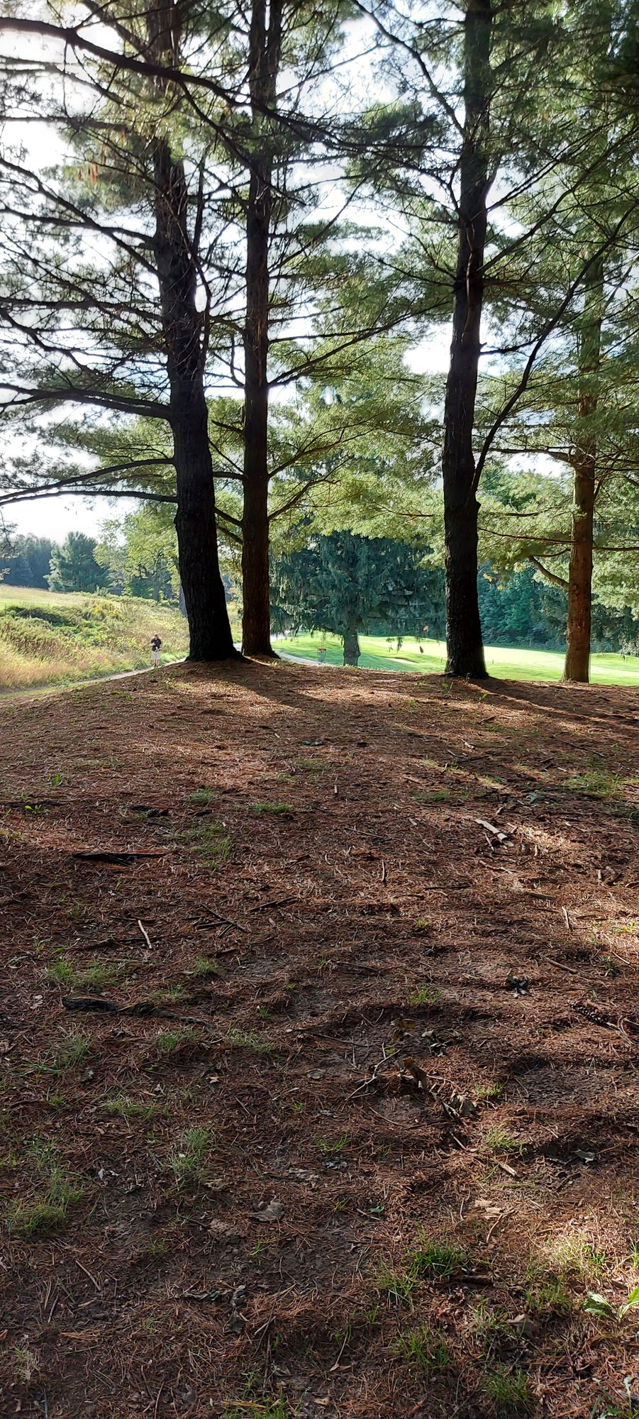Upshot on hole 2.🇨🇦🌲🇨🇦🌲🇨🇦