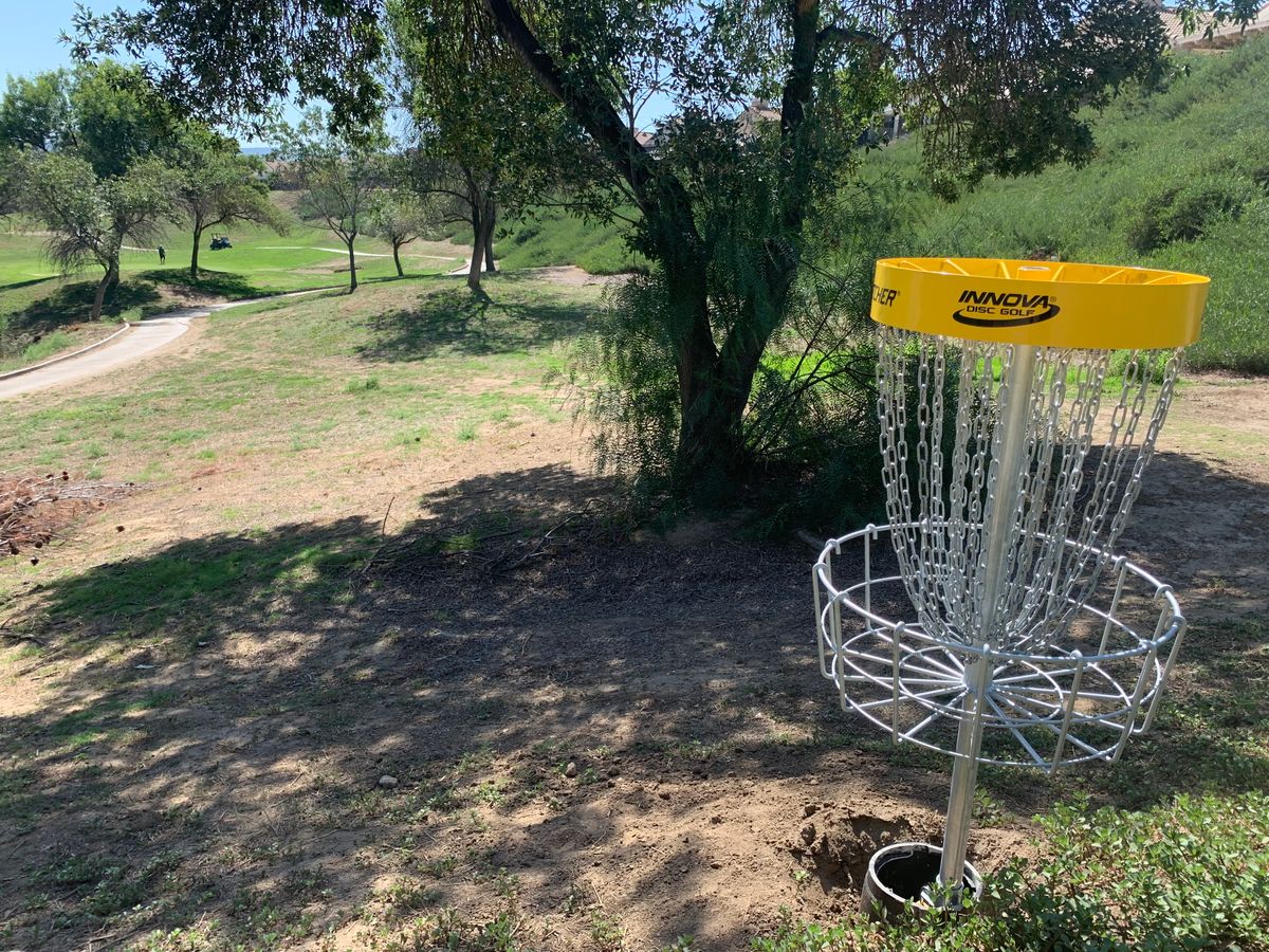 Alpha Hole 11 Basket