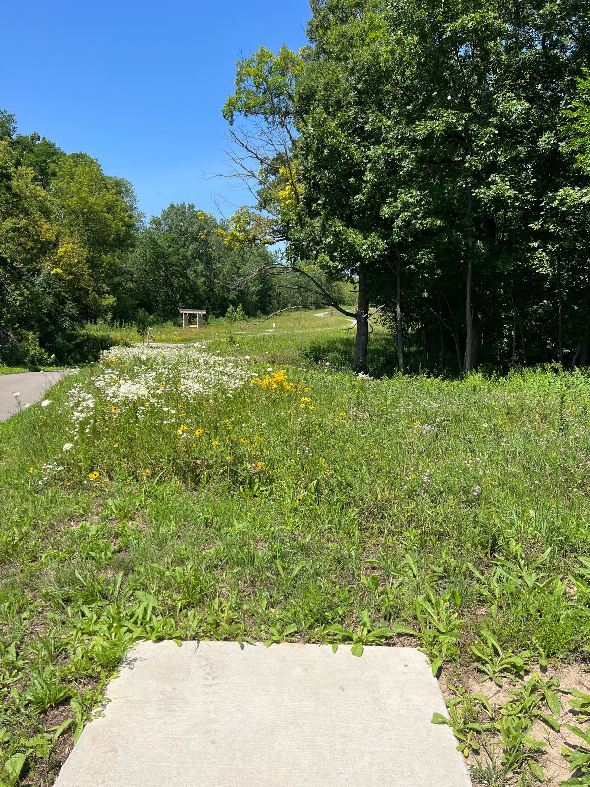 Tee 1