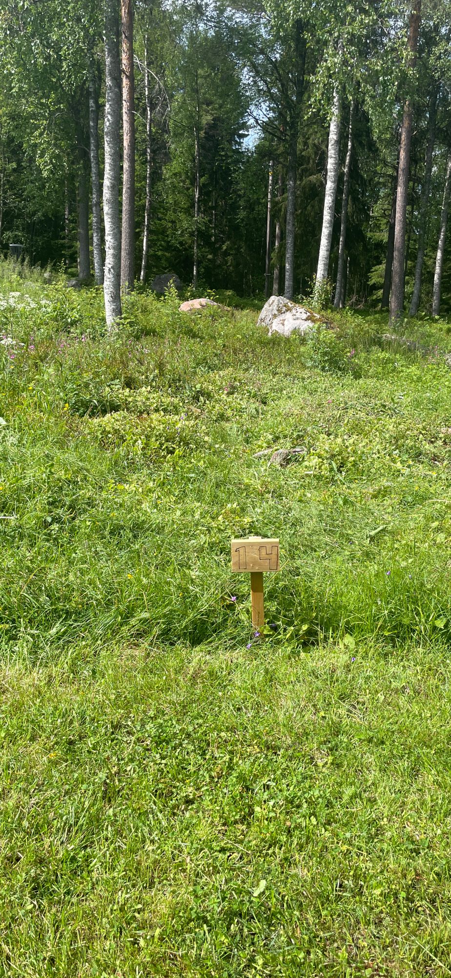 Hole 14, Grass tee, mando ahead
