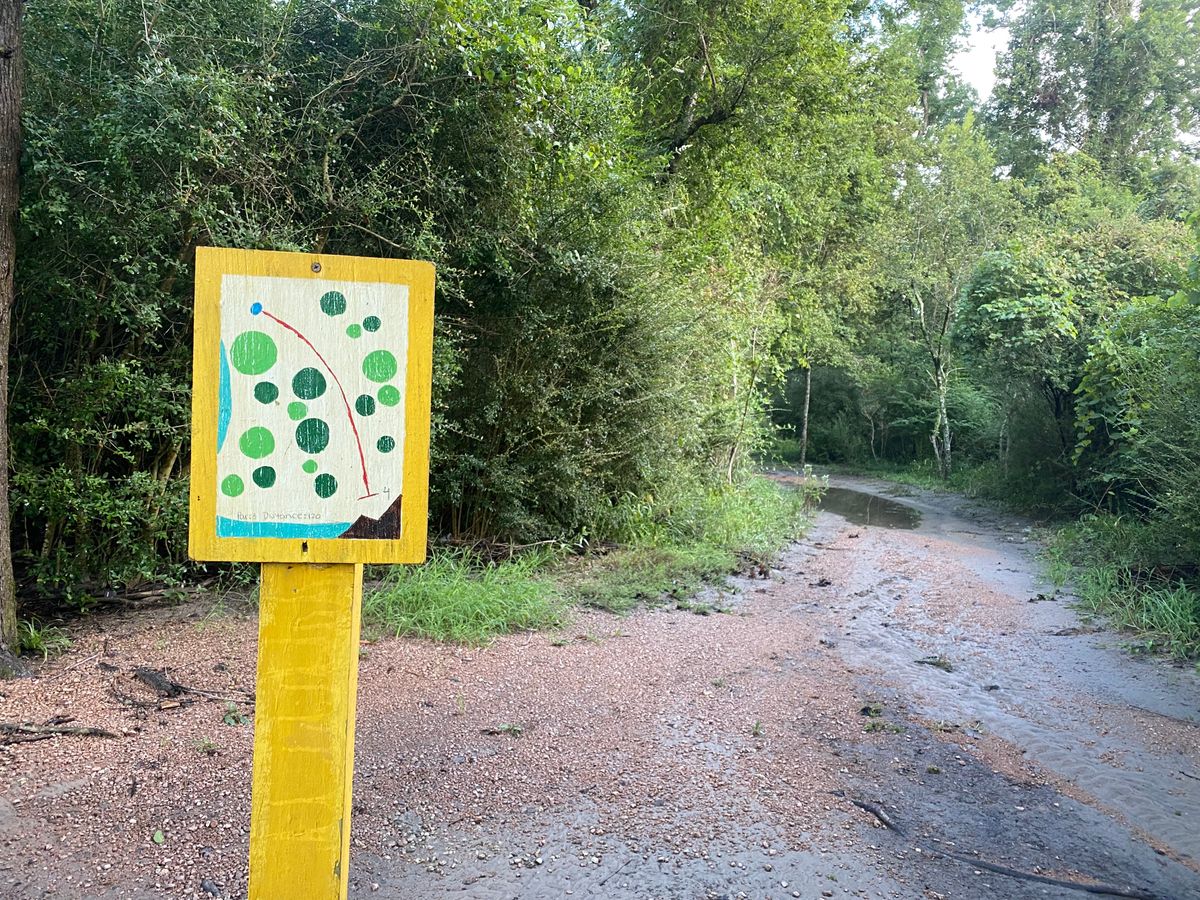 Hole 4 - super short don’t overthrow