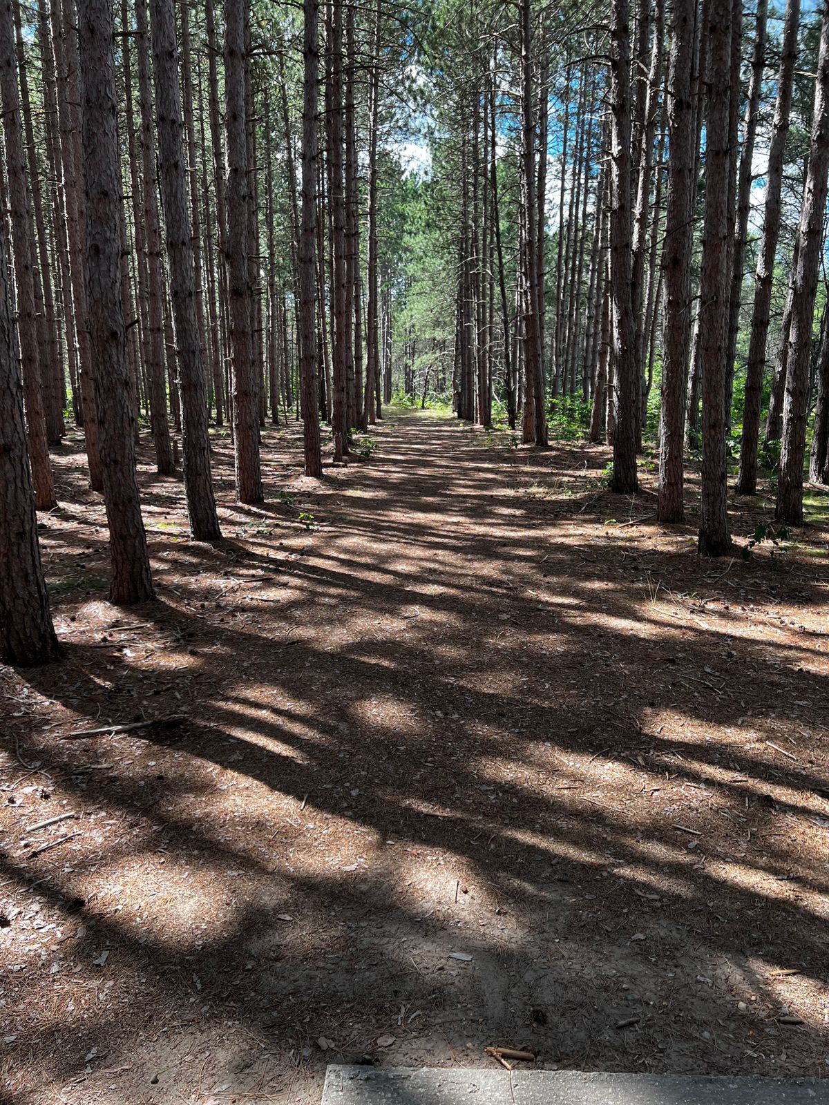 Hole 6