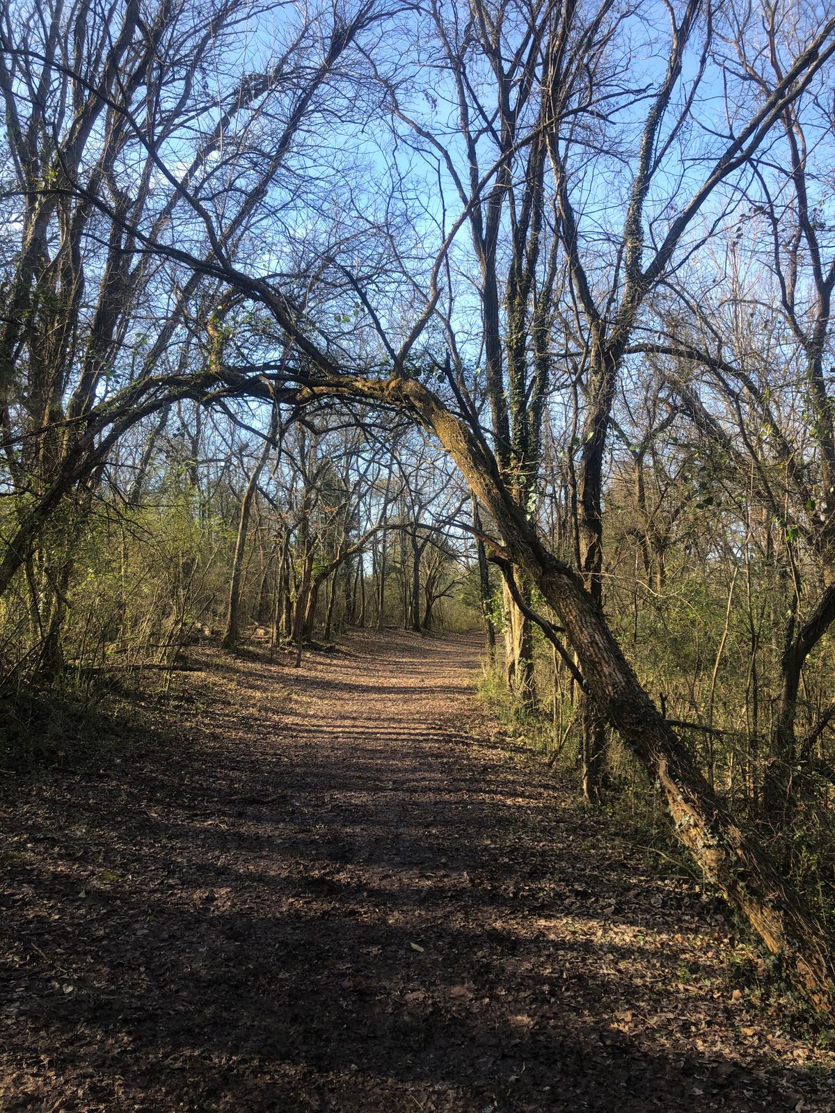 Hole 5