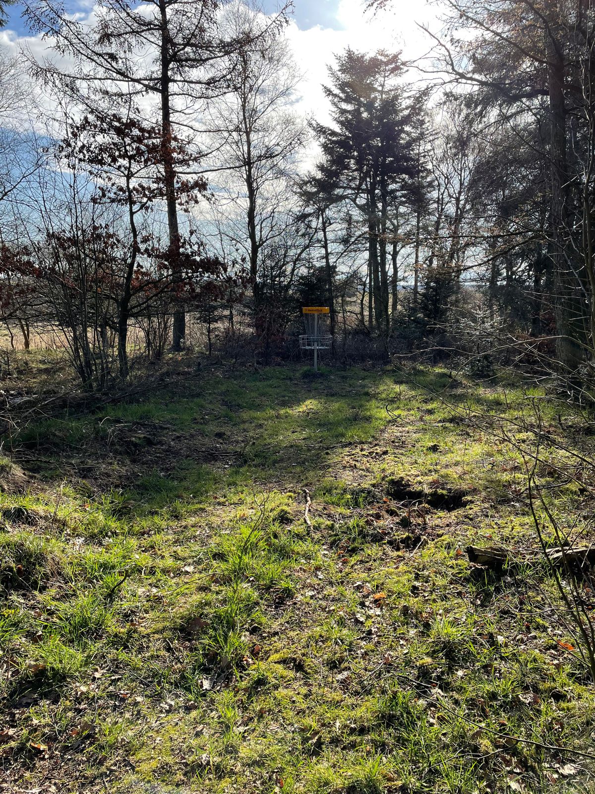 Basket Hole 1
