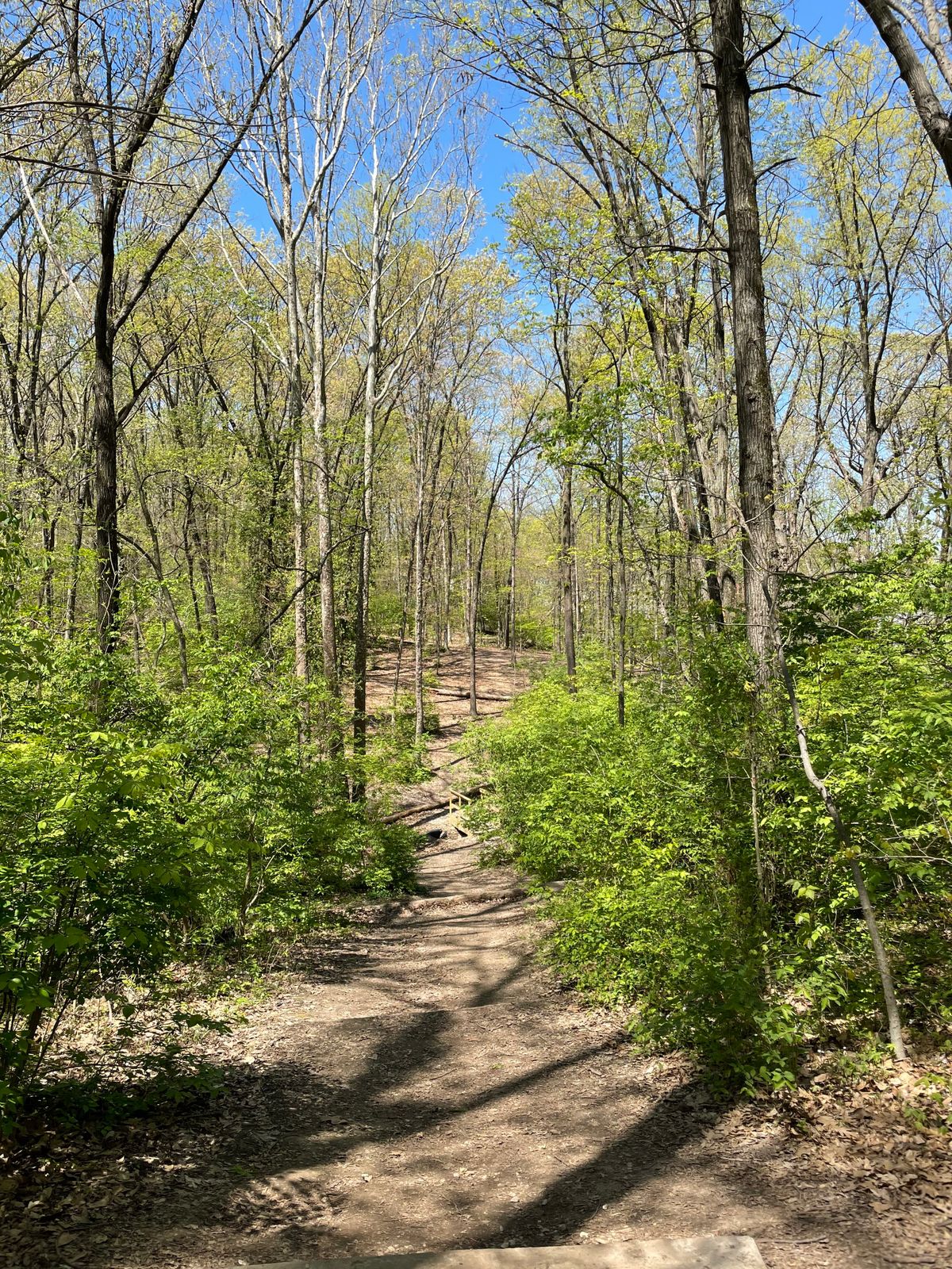 Hole 11 looking back at the tee