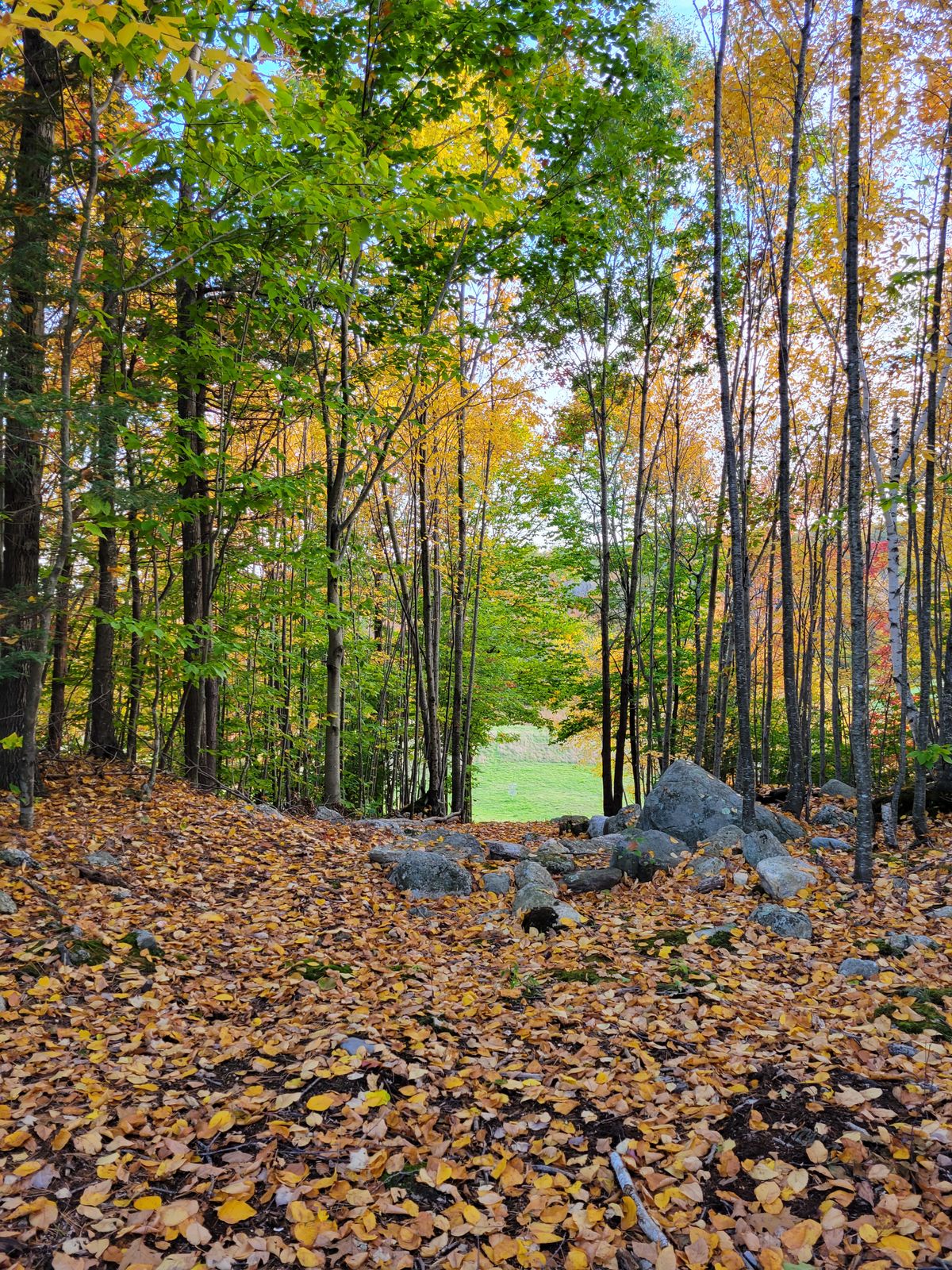 Hole 4 from the tee.