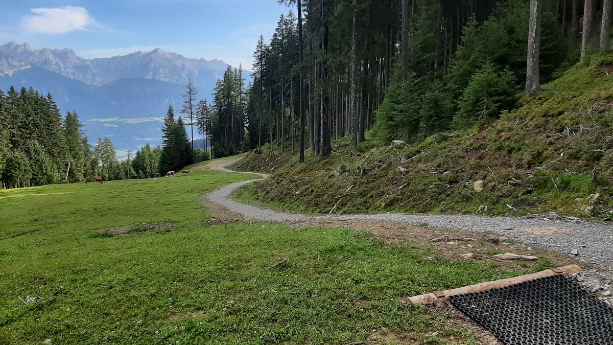 Advanced-Abwurf Bahn 4, Korb am Hang rechts unten. Mit Aufwind untertags nicht einfach einzuschätzen.