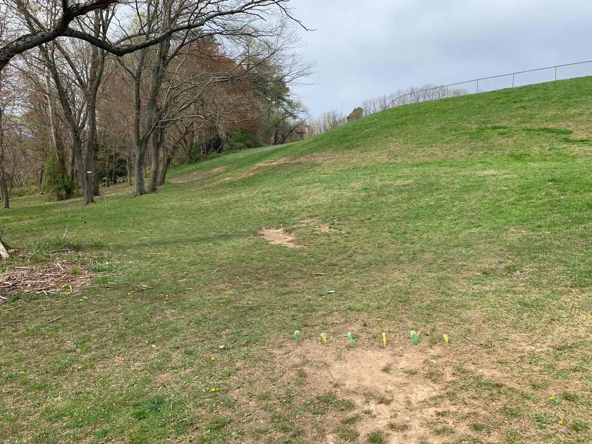 Hole 16 tee. Fairway is up the hill in between the forest to the and baseball fence. Fence is OB