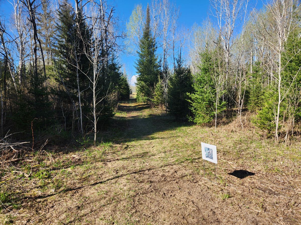 Hole 7