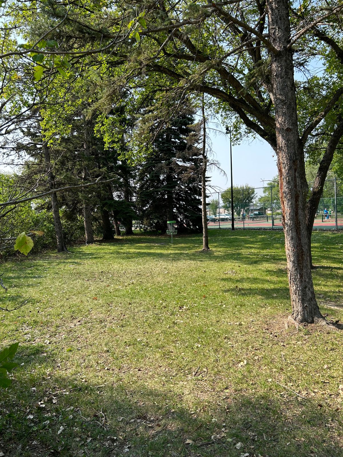 Hole 15