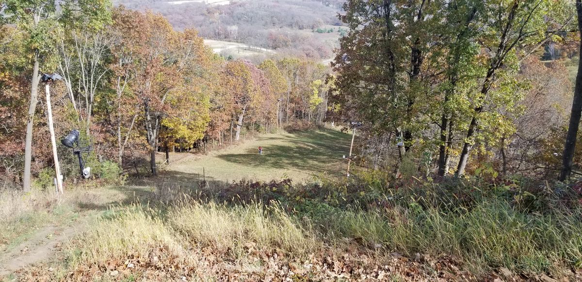 Hole 9. Major elevation change downhill dog leg right.