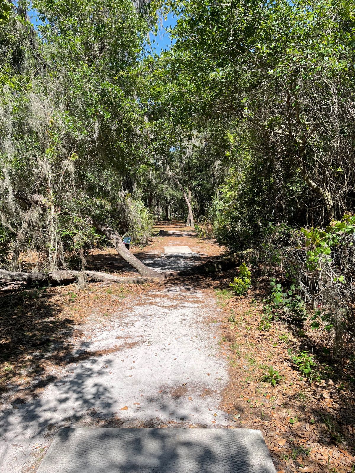 Hole 8