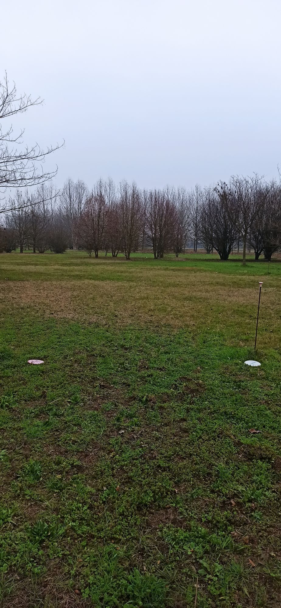 Hole 12 tee spot