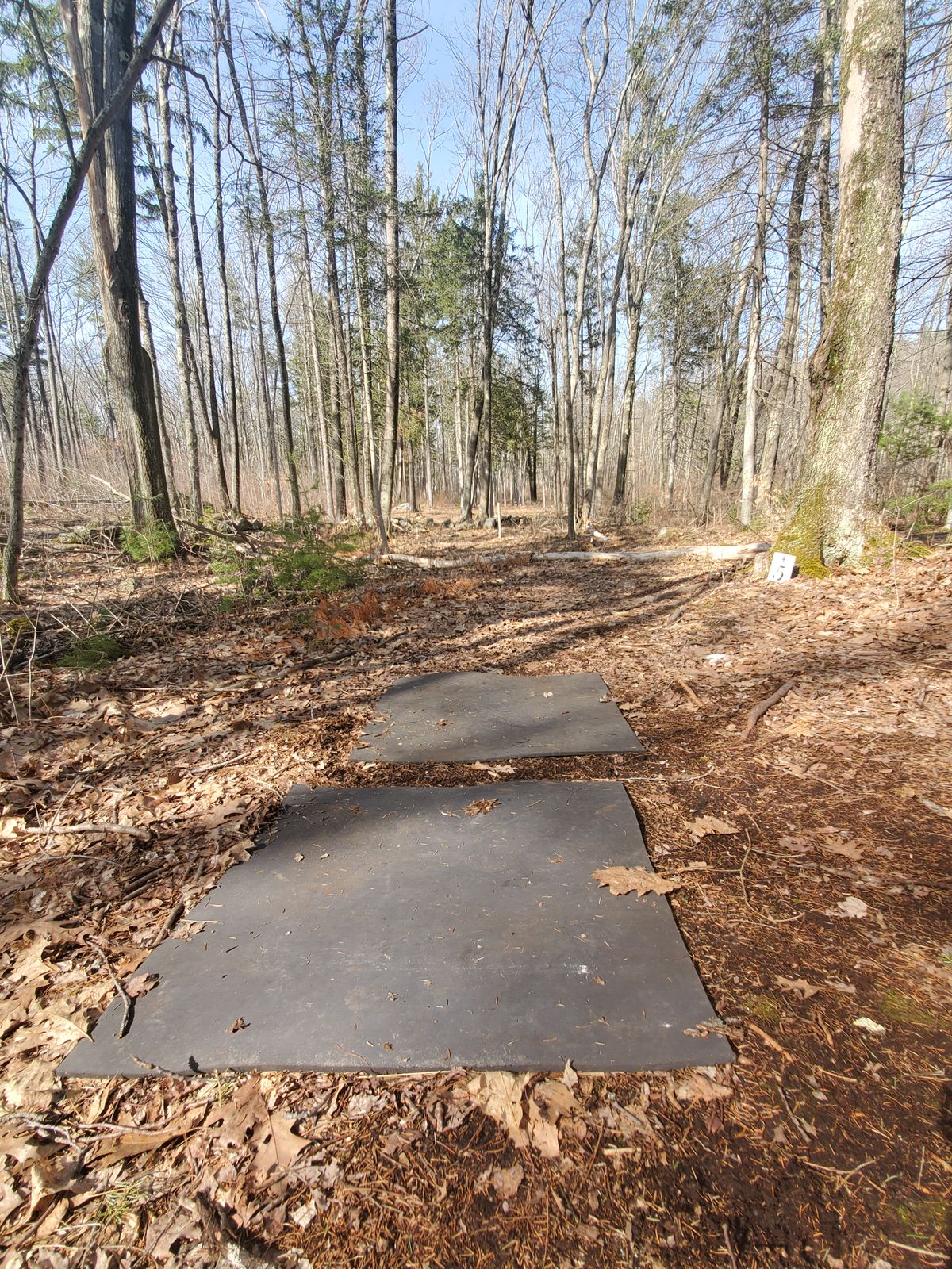 Hole 5 tee pad.