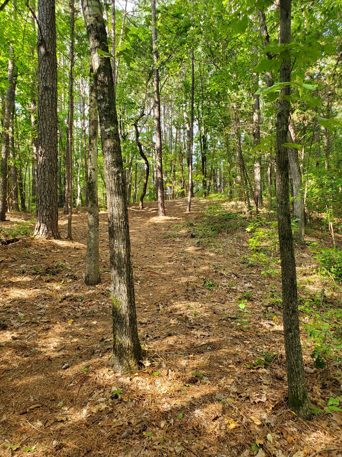 Hole 2 approach