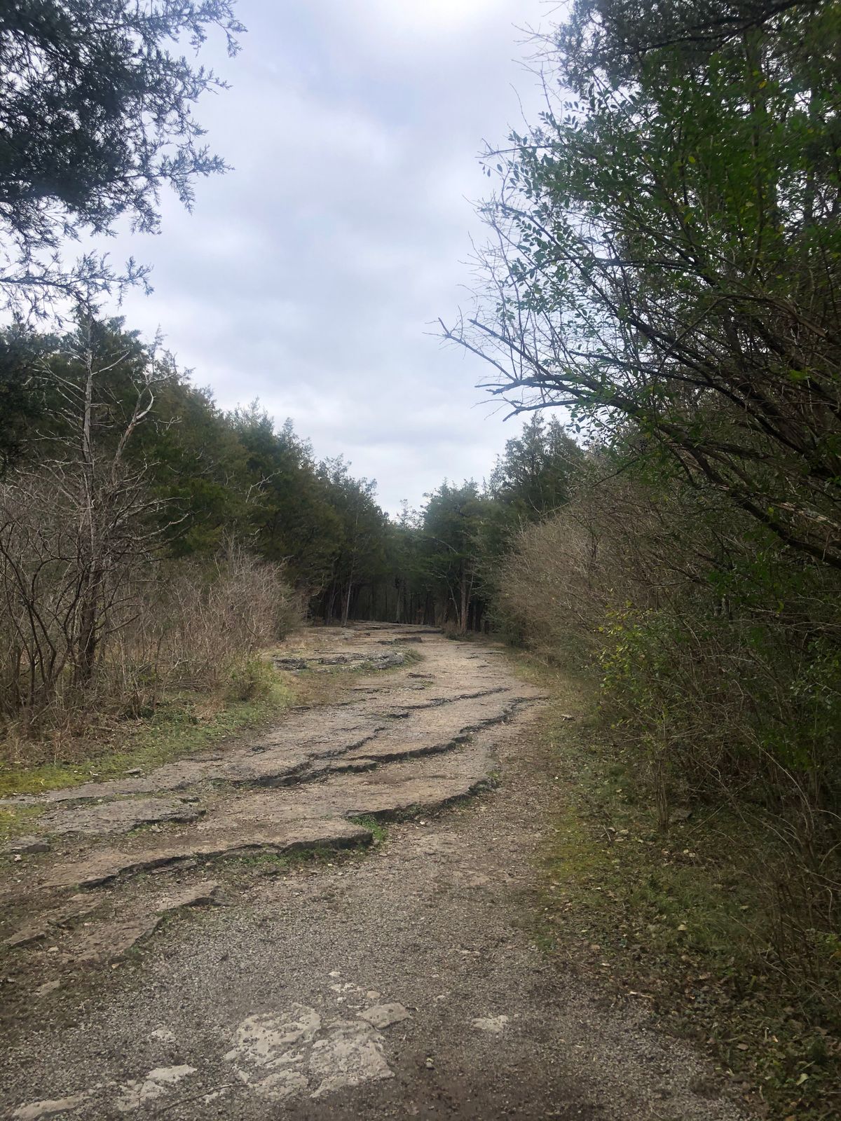 Hole 15