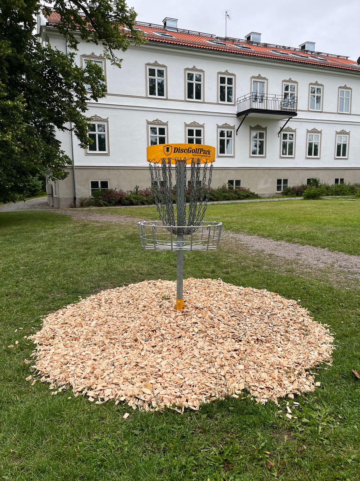 Korg på hål 5